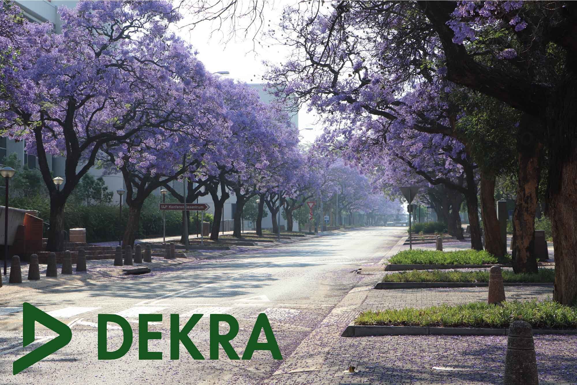 Find closest dekra branch