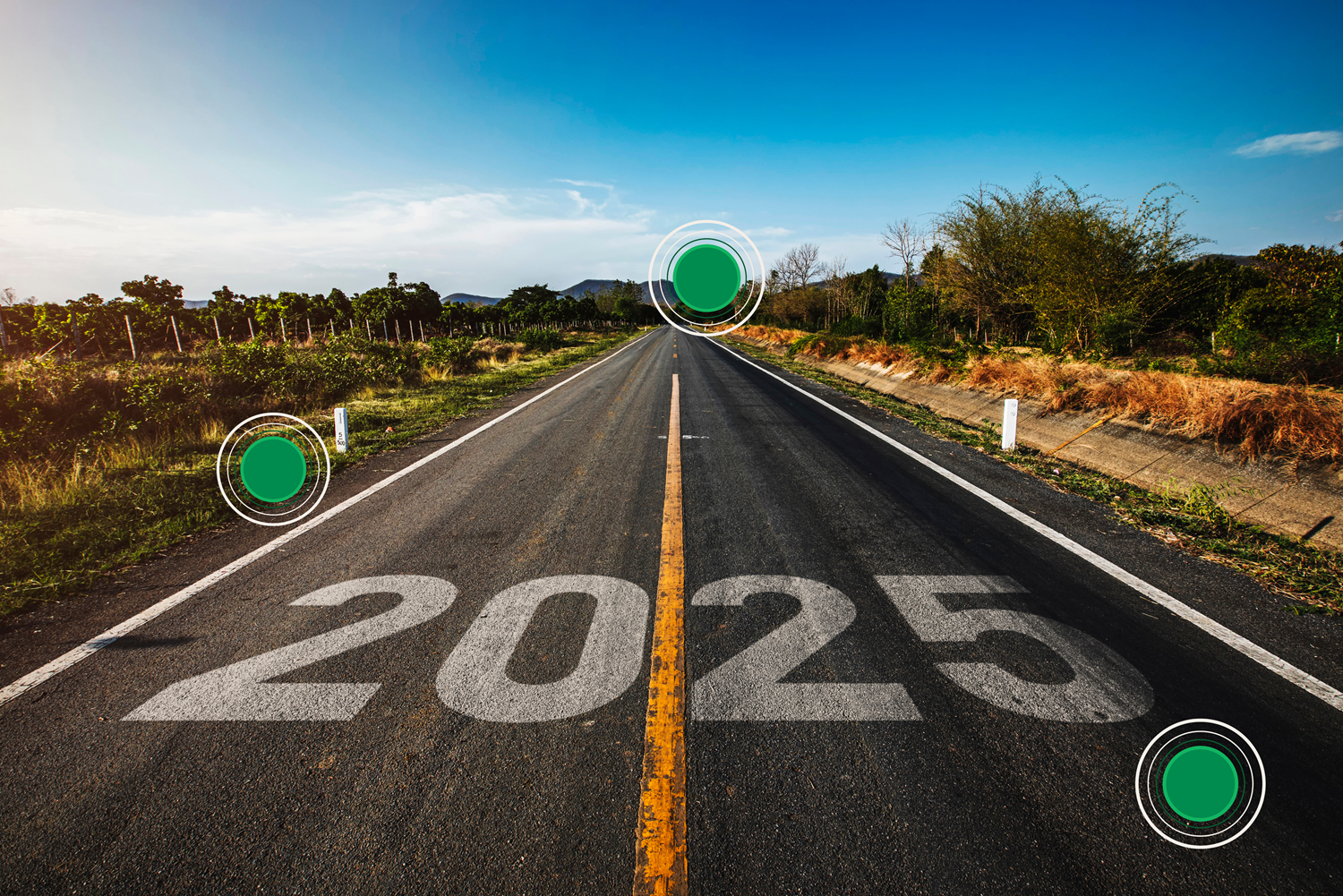 Make 2025 the Year of Smart Vehicle Ownership with DEKRA Condition Reports